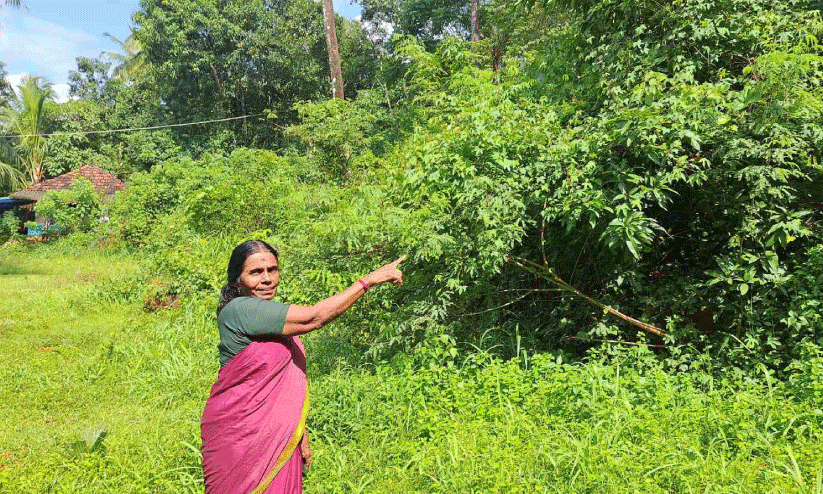 ഉരുൾപൊട്ടൽ ബാധിതർക്ക് വീട് വെച്ചില്ല; സർക്കാറിന് കൈമാറിയ ഭൂമി ഇഴജന്തുക്കളുടെ താവളം ഉരുൾപൊട്ടൽ ബാധിതർക്ക് വീട് വെച്ചില്ല; സർക്കാറിന് കൈമാറിയ ഭൂമി ഇഴജന്തുക്കളുടെ താവളം