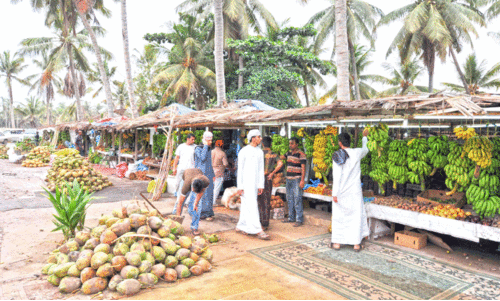 ഉ​ൽപാ​ദ​നം കു​റ​ഞ്ഞു; സ​ലാ​ല​യി​ൽ ക​രി​ക്ക് കി​ട്ടാ​ക്ക​നി