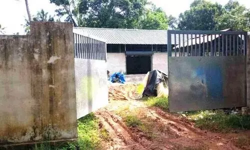 Plastic Material Collection Facility