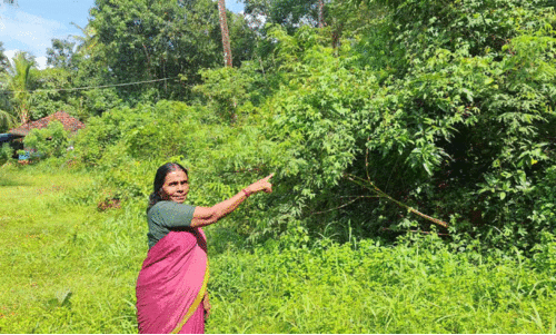 ഉരുൾപൊട്ടൽ ബാധിതർക്ക് വീട് വെച്ചില്ല; സർക്കാറിന് കൈമാറിയ ഭൂമി ഇഴജന്തുക്കളുടെ താവളം ഉരുൾപൊട്ടൽ ബാധിതർക്ക് വീട് വെച്ചില്ല; സർക്കാറിന് കൈമാറിയ ഭൂമി ഇഴജന്തുക്കളുടെ താവളം