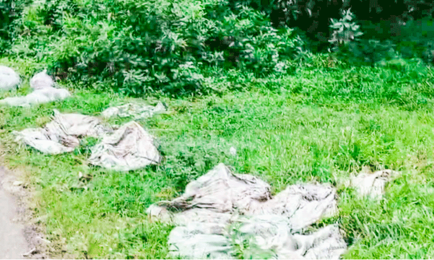 Thodiyur-Patharam road