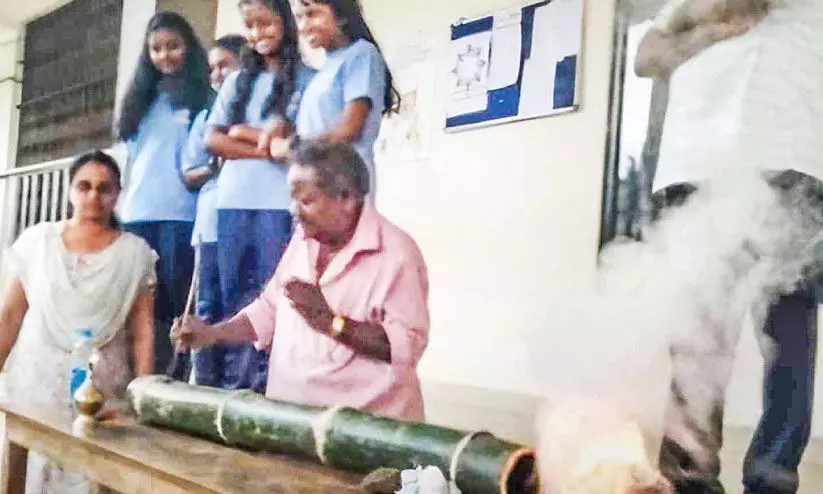 bamboo cannon bamboo cannon