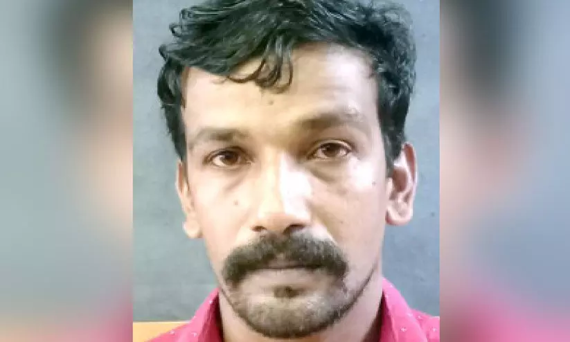 അ​നീ​ഷ്  വി​ശ്വ​ൻ