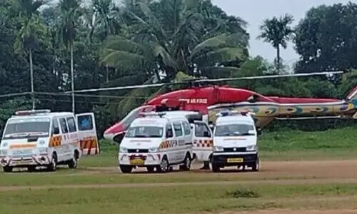 dead bodies dead bodies