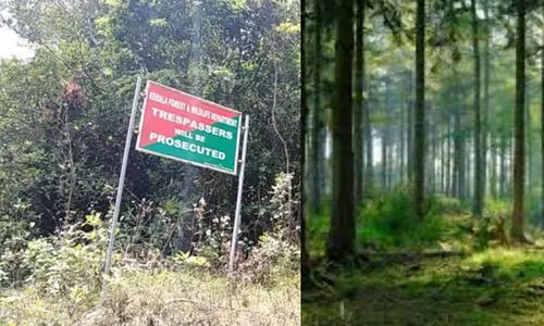 കൈയേറ്റങ്ങൾ ഒഴിപ്പിക്കുന്നതിലും തടയുന്നതിലും വനംവകുപ്പ് പരാജയമെന്ന് റിപ്പോർട്ട്