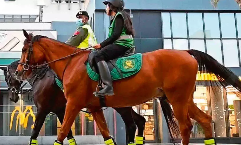 പൊലീസ്​ സേന