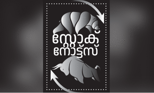 ചെറുകമ്പനികൾ പണിതരുമോ?