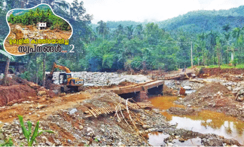 ത​ക​ർ​ന്ന​ടി​ഞ്ഞ​ത് പ​തി​റ്റാ​ണ്ടു​ക​ളു​ടെ പ്ര​യ​ത്ന​ഫ​ലം