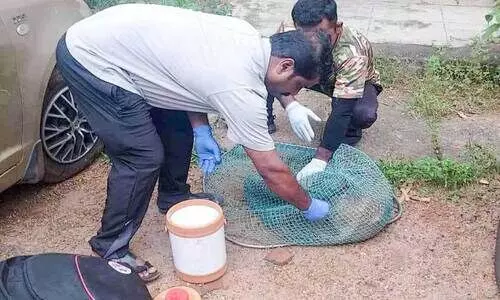 Vaccination against rabies