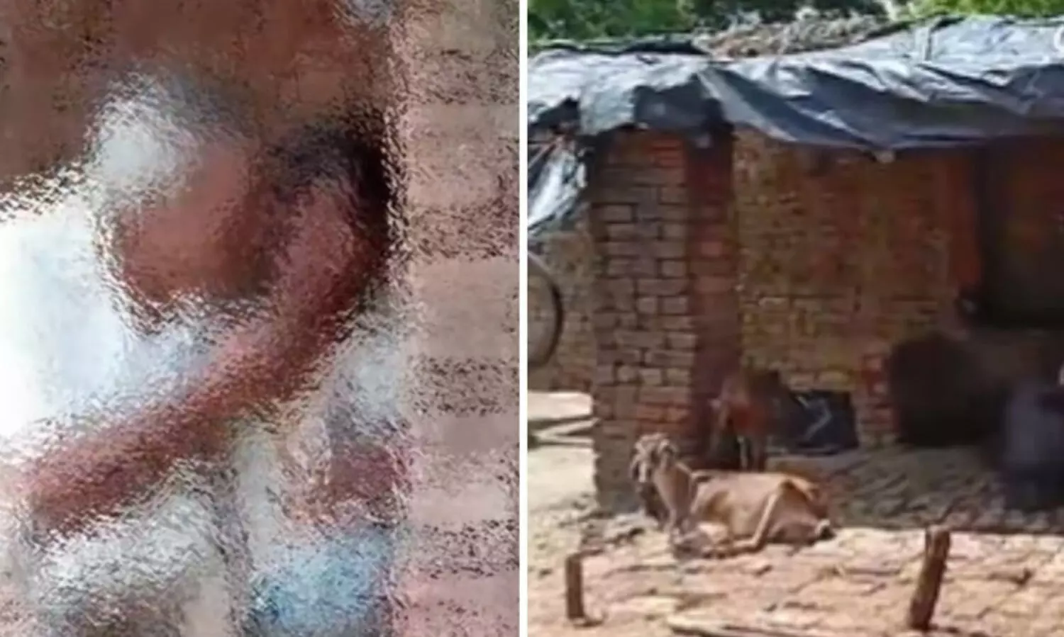 ആറ് വയസുകാരിക്ക് നേരെ ലൈംഗികാതിക്രമം, ആടിനെ ബലാത്സംഗം ചെയ്തു; യു.പി സർക്കാർ ഉദ്യോഗസ്ഥൻ അറസ്റ്റിൽ