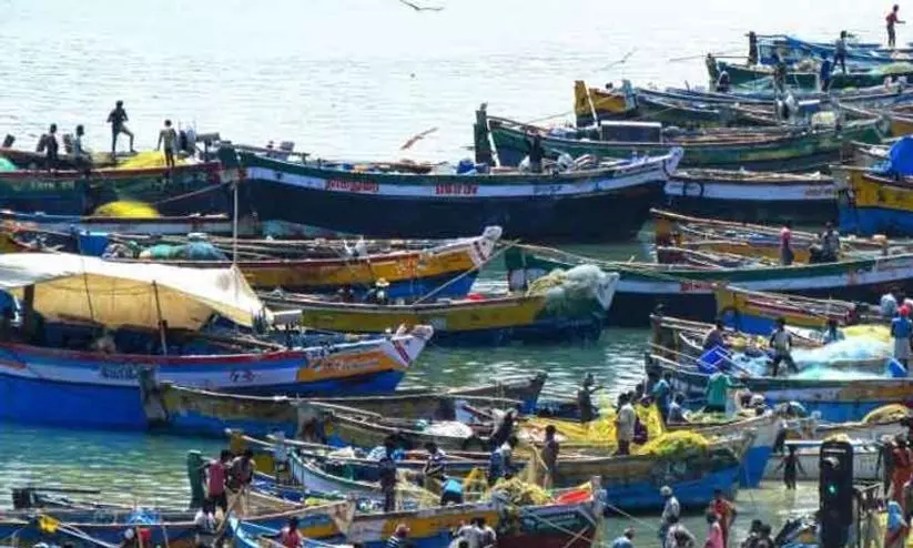 പൊഴിയൂരിൽ മത്സ്യബന്ധന തുറമുഖം: പ്രാരംഭ പ്രവർത്തനങ്ങൾക്ക് അഞ്ച് കോടി അനുവദിച്ചു പൊഴിയൂരിൽ മത്സ്യബന്ധന തുറമുഖം: പ്രാരംഭ പ്രവർത്തനങ്ങൾക്ക് അഞ്ച് കോടി അനുവദിച്ചു