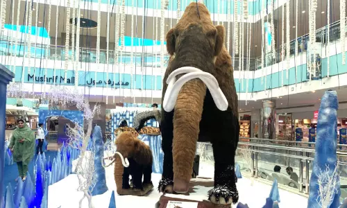 ഐ​സ് ഏ​ജ് ഐ​ല​ൻ​ഡ്