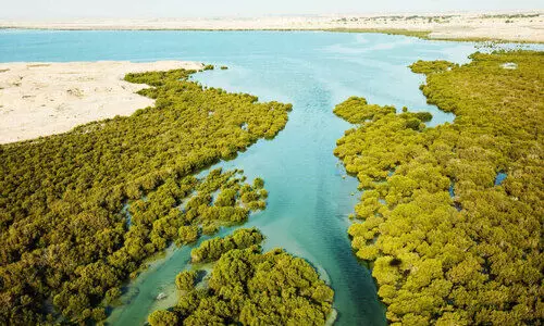 ക​ണ്ട​ൽ