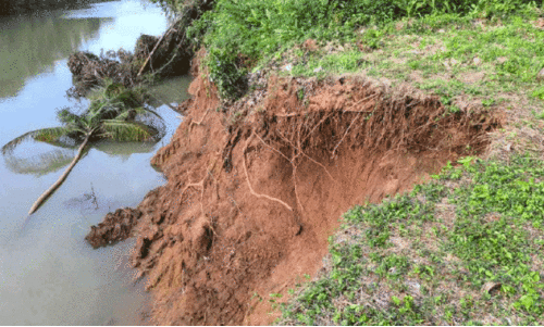 Kadalundi Riverside landfall