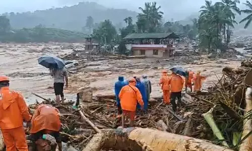 വയനാട് ദുരന്തം: സി.ബി.ഐ ഉൾപ്പെടെയുള്ള ഏജൻസികൾ അന്വേഷിക്കണമെന്ന് ഡോ. വി. സുഭാഷ് ചന്ദ്രബോസ്