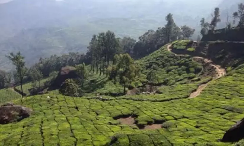 bison valley bison valley