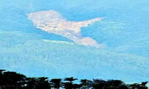 ഉരുൾപൊട്ടൽ: നശിച്ചത് ഏഴ് ഹെക്ടർ വനഭൂമിയെന്ന് പ്രാഥമിക വിവരം ഉരുൾപൊട്ടൽ: നശിച്ചത് ഏഴ് ഹെക്ടർ വനഭൂമിയെന്ന് പ്രാഥമിക വിവരം