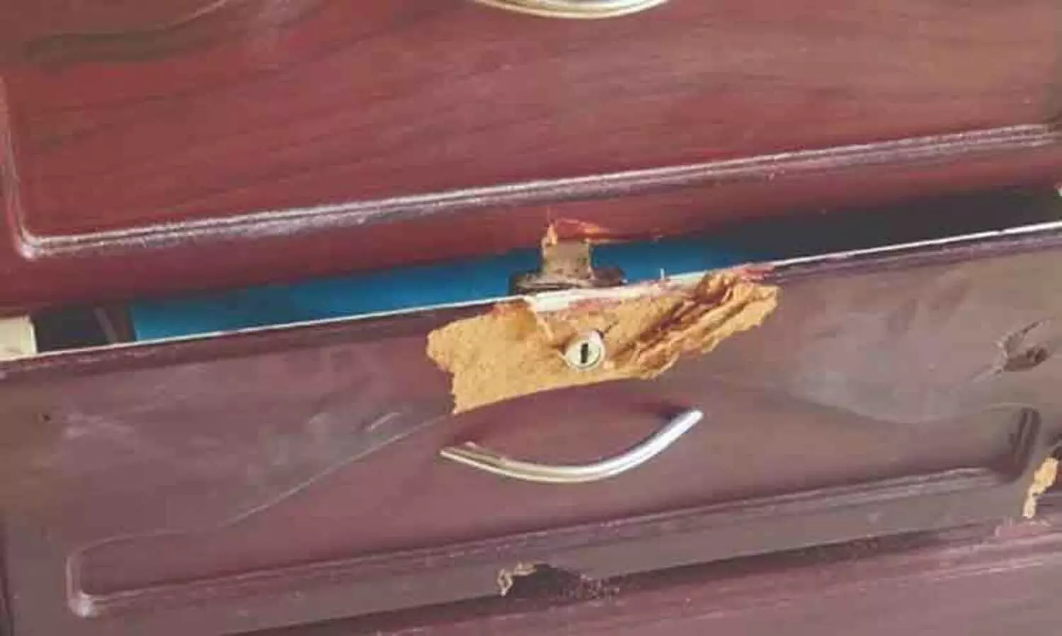 ‘പ്രിയപ്പെട്ട കള്ളാ, അമൂല്യമായതൊന്ന് നിങ്ങൾ കൊണ്ടുപോയി, അതെങ്കിലും തിരിച്ചുതരൂ...’ -മോഷ്ടാവിന് മേപ്പാടിയിൽ നിന്നൊരു കത്ത്