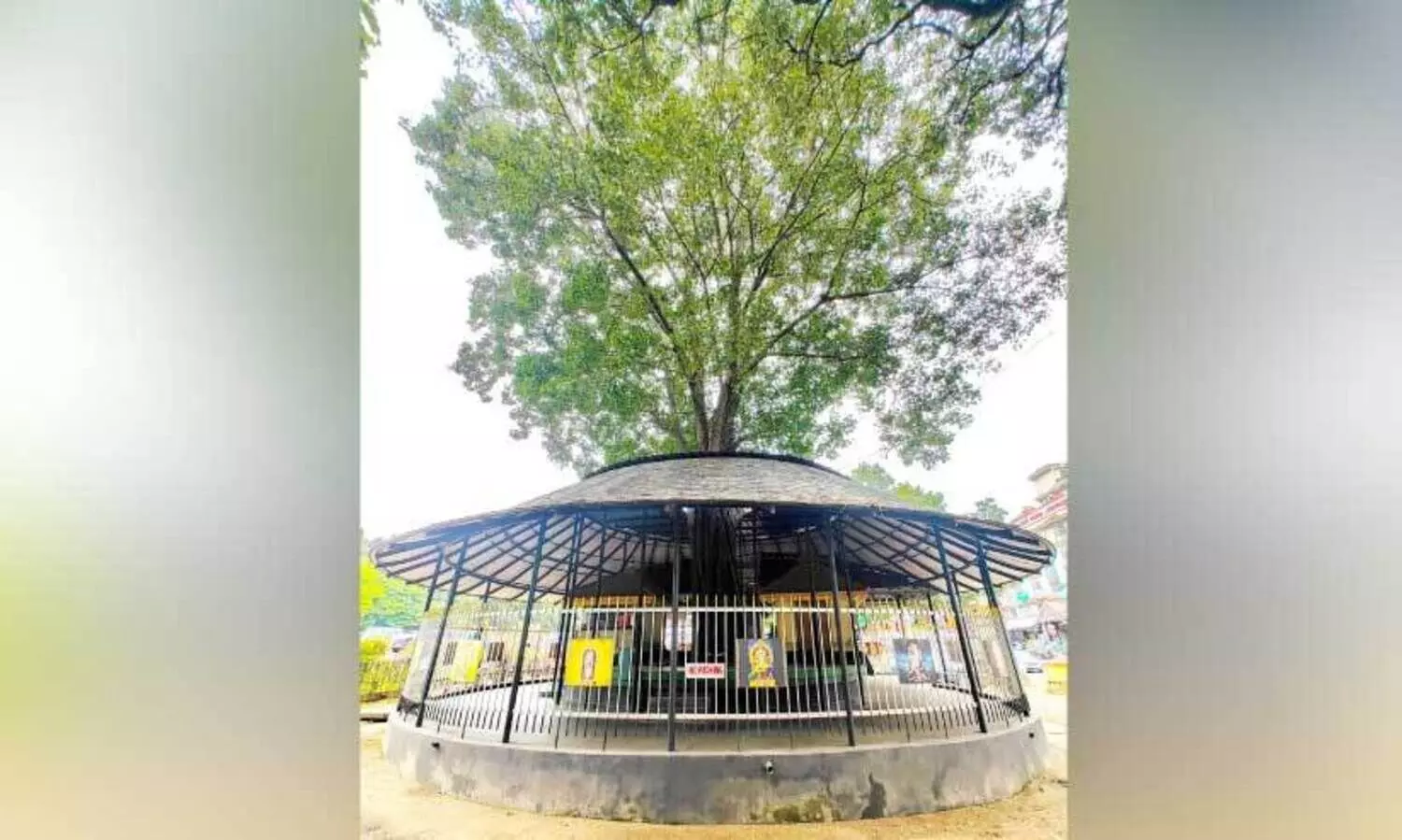 ഈ ​മൈ​താ​നം പ​റ​ഞ്ഞു​ത​രും പോ​രാ​ട്ട ക​ഥ​ക​ൾ...