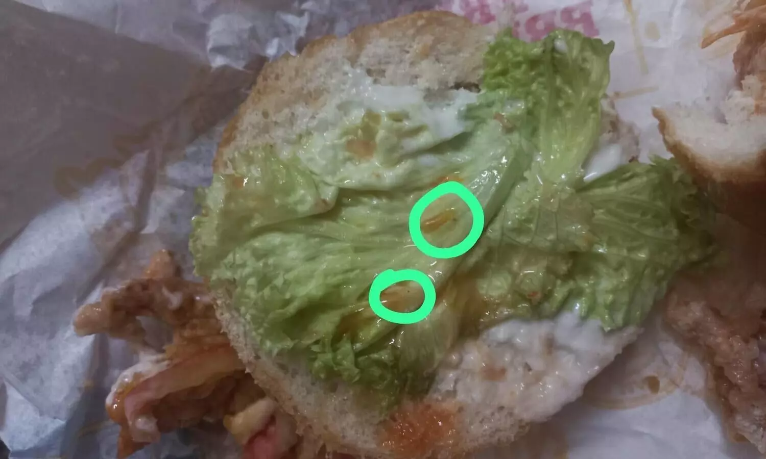 ചിക്കൻ ബർഗറിൽ ജീവനുള്ള പുഴു; ദേഹാസ്വാസ്ഥ്യം, യുവതികൾ ചികിത്സ തേടി VIDEO