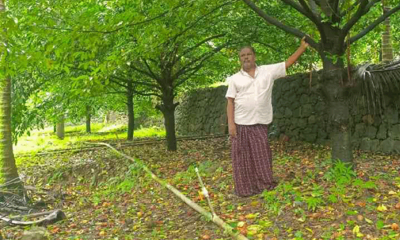 പടവെട്ടിയത് മണ്ണിനോട്; അഗസ്റ്റിനെ തേടി അംഗീകാരമെത്തി