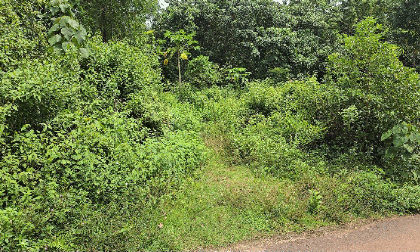 ഇനാമൽ ഫാക്ടറി ഭൂമി കാടുകയറി നശിക്കുന്നു