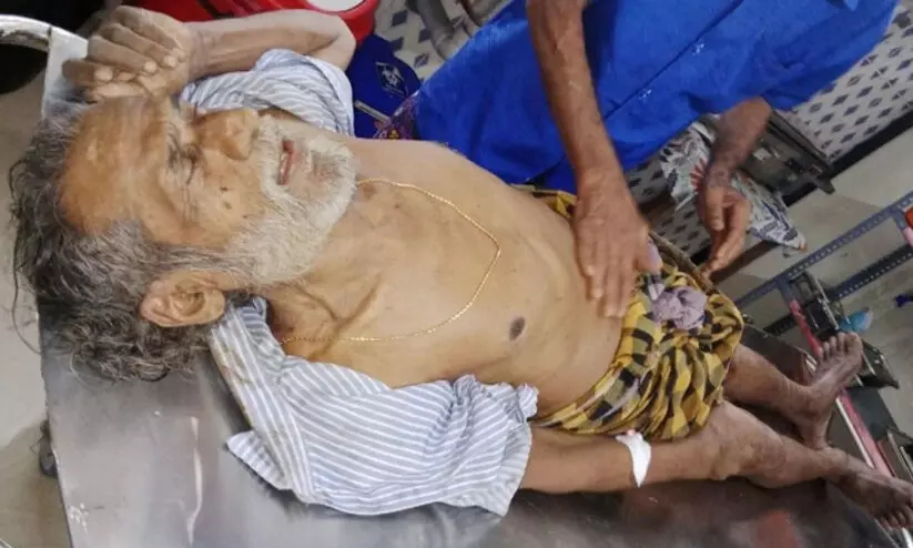 elephant attck 8798 elephant attck 8798