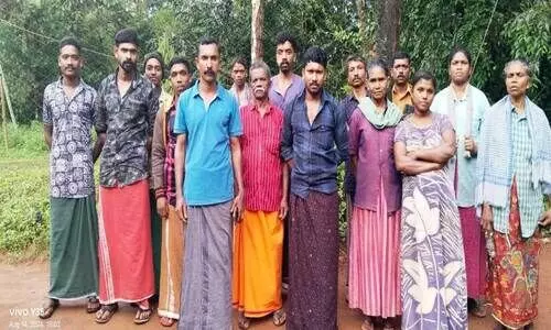 ഉപ്പുതറ മേമ്മാരികുടി ആദിവാസി ഊരിന് കൃഷി വകുപ്പ്​ പുരസ്‌കാരം