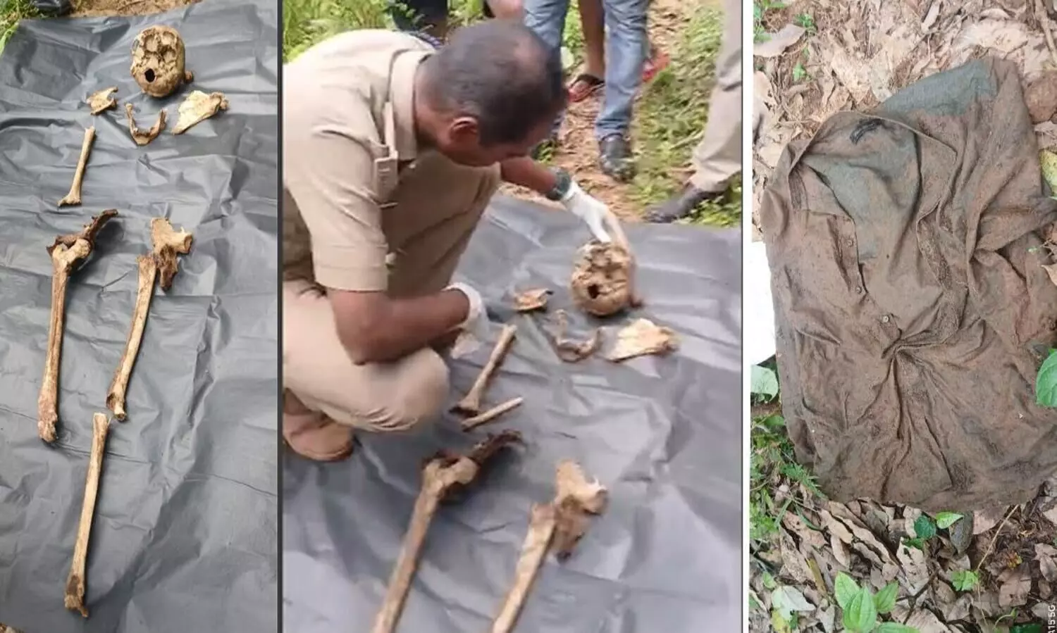 റാന്നിയിൽ റബർ തോട്ടത്തിൽ ചിതറിയ നിലയിൽ അസ്ഥികൂടം