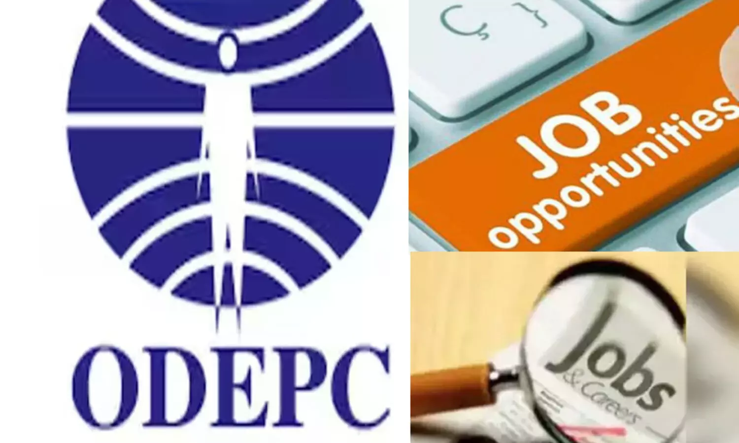 യു.എ.ഇ. ആസ്ഥാനമായ പ്രമുഖ ഇന്ത്യൻ ടെലിവിഷൻ ചാനലിലെ വിവിധ ഒഴിവിലേക്ക് ഒഡെപെക്ക് വഴി റിക്രൂട്ട്