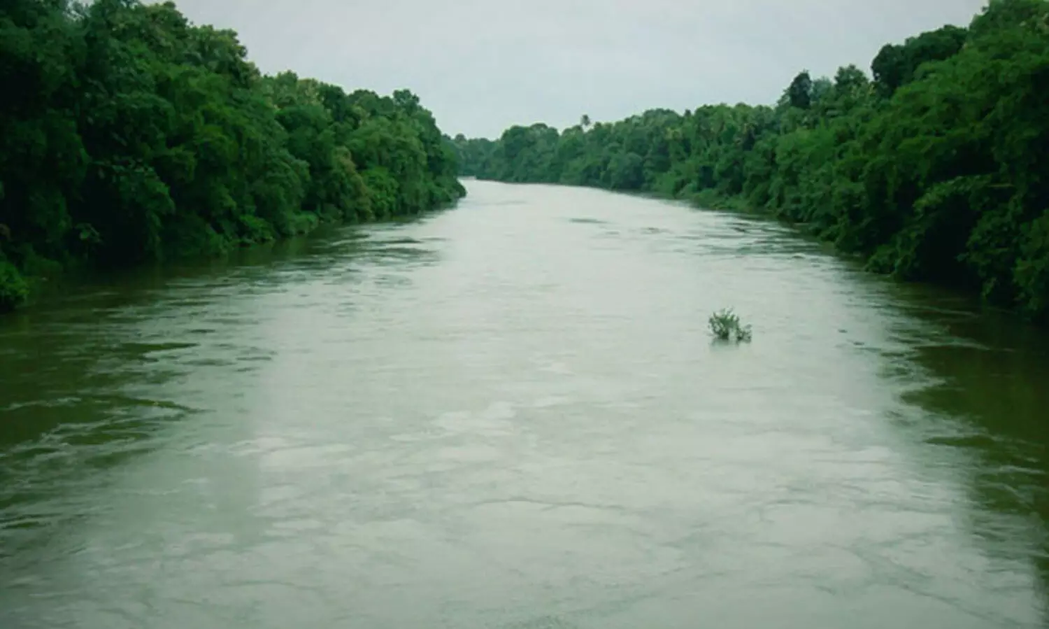 മണിമല നദിയിലെ ജലനിരപ്പ് ഉയരുന്നു; തീരത്തോട് ചേർന്ന് താമസിക്കുന്നവർ ജാഗ്രത പാലിക്കണം
