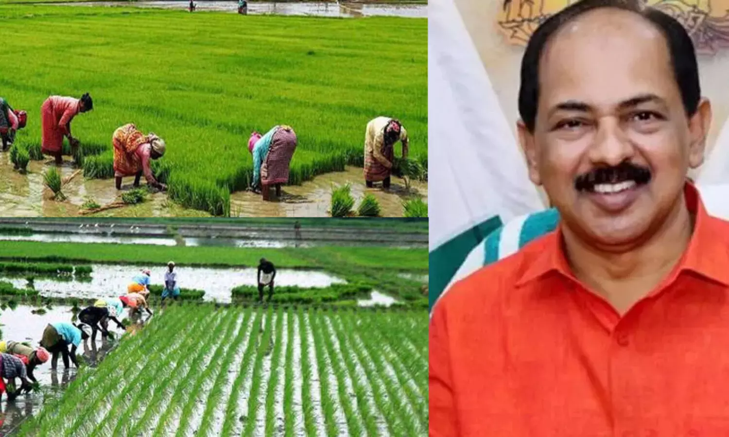 കാർഷികമേഖലയിൽ സ്വയംപര്യാപ്തതയെന്ന സർക്കാർ നയം ഫലപ്രദമെന്ന് ജി.ആർ. അനിൽ