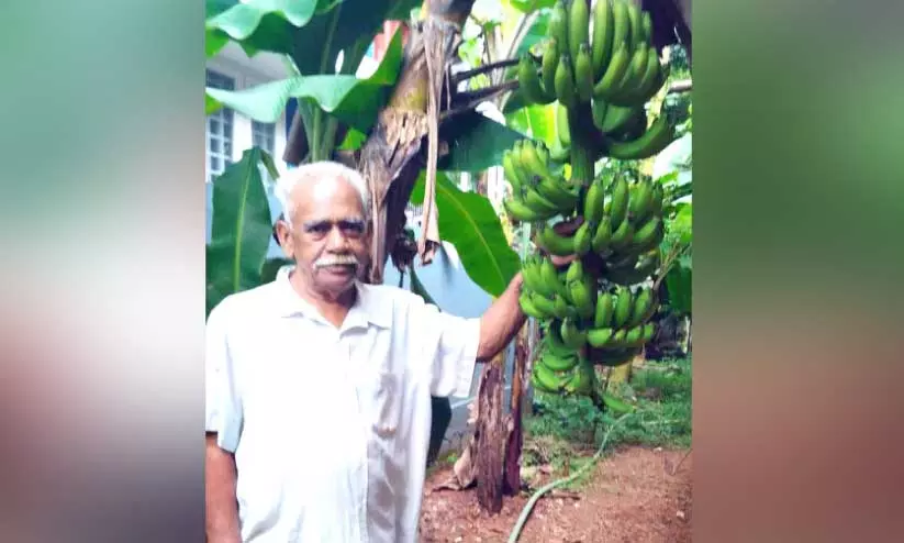 ഹൈ​ദ്രോ​സ് വീ​ട്ടു​വ​ള​പ്പി​ലെ കൃ​ഷി പ​രി​പാ​ല​ന​ത്തി​ൽ