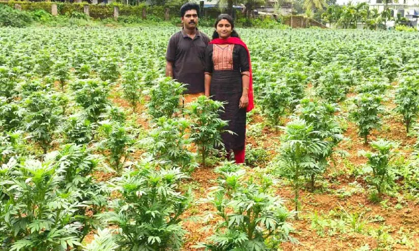 ശ്രീ​ജേ​ഷും ഭാ​ര്യ ശ്രു​തി​യും കു​ട്ട​മ​ശ്ശേ​രി​യി​ലെ ബ​ന്ദിത്തോ​ട്ട​ത്തി​ൽ