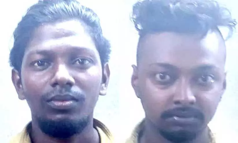 Nidhin C.Shaji, Jitin Suresh