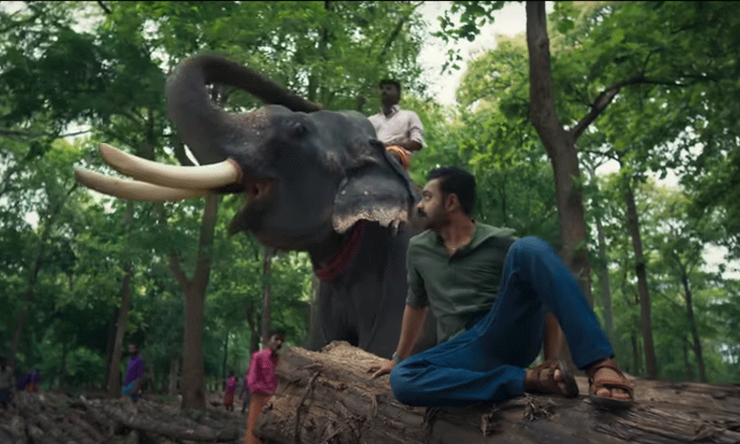 Asif Ali movie Kishkindha Kaandam Official Teaser Out Asif Ali movie Kishkindha Kaandam Official Teaser Out