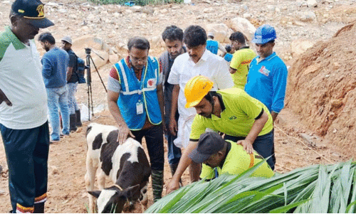 ക​ന്നു​കാ​ലി​ക​ൾ​ക്ക് തീ​റ്റ​വ​സ്തു​ക്ക​ളു​മാ​യി ക്ഷീ​ര​വി​ക​സ​ന വ​കു​പ്പ്