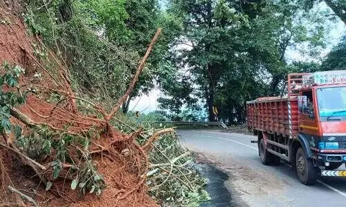soil and trees that fell on the road were removed soil and trees that fell on the road were removed