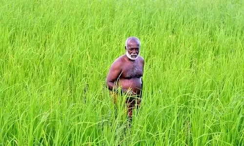 കർഷക പ്രതീക്ഷകൾ വാനോളം