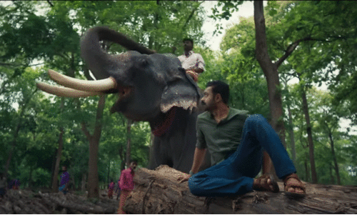 Asif Ali movie Kishkindha Kaandam Official Teaser Out