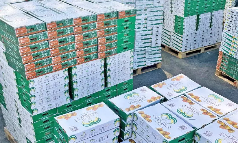 dates palm dates palm