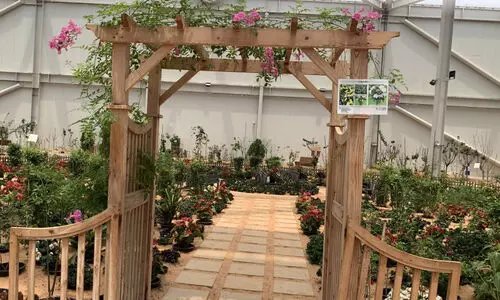 അ​ബൂ​ദ​ബി​ലെ കു​ളി​രേ​കും കൃ​ഷി​ത്തോ​ട്ടം