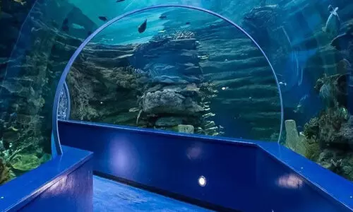 ക​ട​ലാ​ഴ​ങ്ങ​ളെ ക​ട​ഞ്ഞെ​ടു​ത്ത മ​ത്സ്യ​ങ്ങ​ൾ