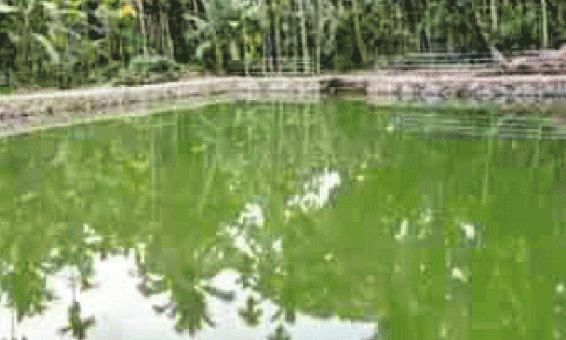 Puthankulam renovation