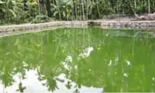 Puthankulam renovation