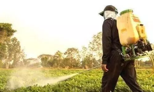 Pesticides, Agriculture