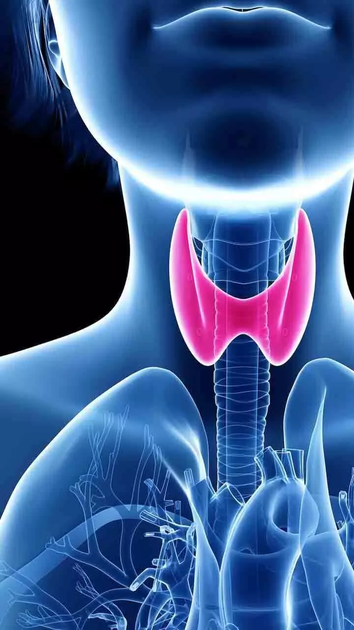 തൈറോയ്ഡ്  കൂടിയാൽ പ്രശ്നമാണ്, കുറഞ്ഞാലോ??  അപ്പോഴും പ്രശ്നമാണ്!