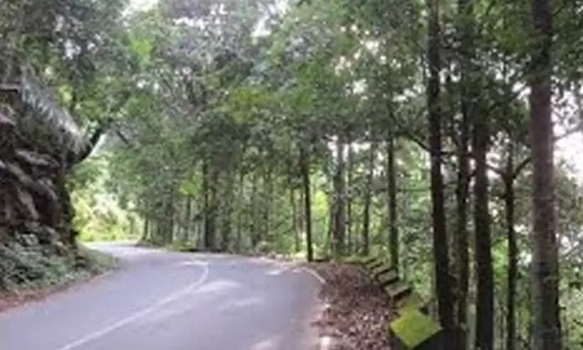 നെ​ടും​പൊ​യി​ൽ ചു​രം റോ​ഡി​ലെ ഗ​താ​ഗ​ത നി​രോ​ധ​നം; ഒ​റ്റ​പ്പെ​ട്ട് ഗ്രാ​മ​ങ്ങ​ൾ