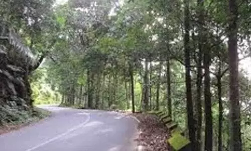 നെ​ടും​പൊ​യി​ൽ ചു​രം റോ​ഡി​ലെ ഗ​താ​ഗ​ത നി​രോ​ധ​നം; ഒ​റ്റ​പ്പെ​ട്ട് ഗ്രാ​മ​ങ്ങ​ൾ