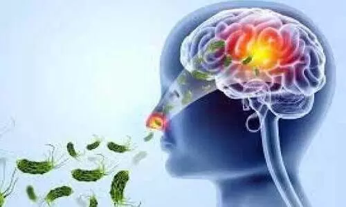 അമീബിക്​ മസ്​തിഷ്ക ജ്വരം; പകർച്ചവ്യാധികൾ പഠിക്കാൻ കേന്ദ്രസംഘം എത്തുന്നു